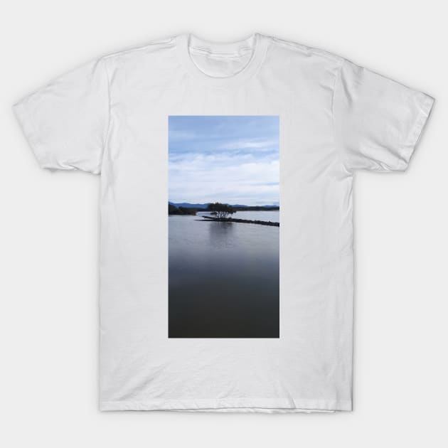 Urunga at High Tide T-Shirt by Julie Vaux